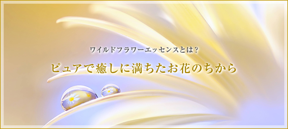 ワイルドフラワーエッセンスとは？ピュアで癒しに満ちたお花のちから